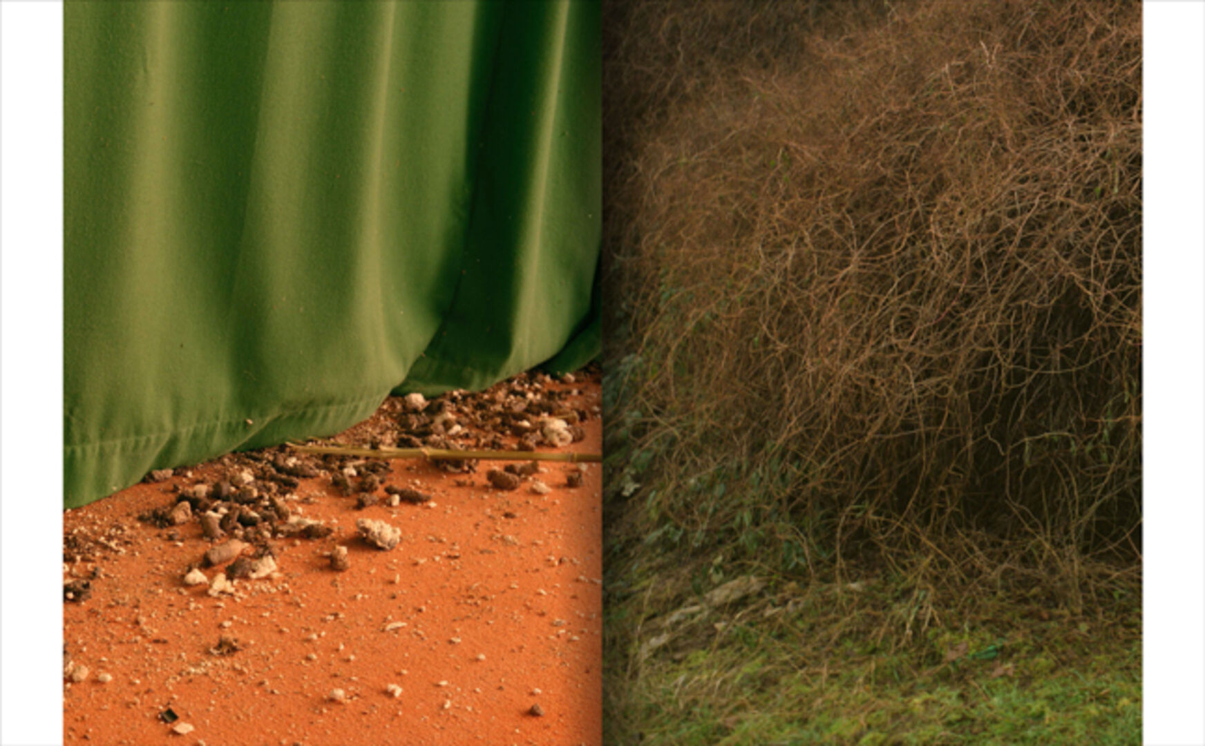 Laura Pecoroni, 2021 Gestaltung hsmannheim